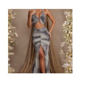 Oh Polly Silver Snakeskin Maxi Gown with Plunge Neckline